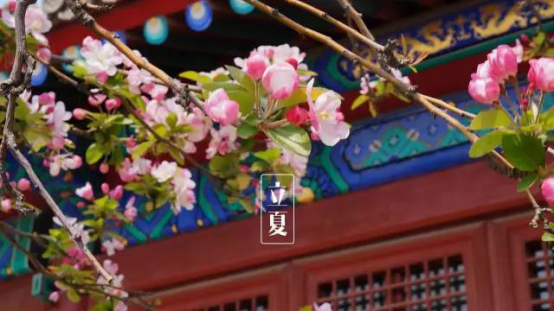 圖片1